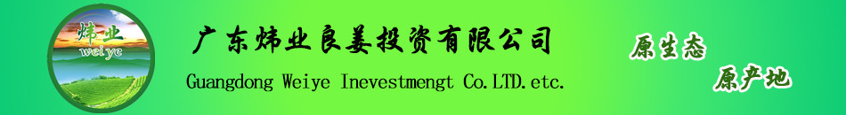 腾龙公司客服负责人18988328585微信-联系我们